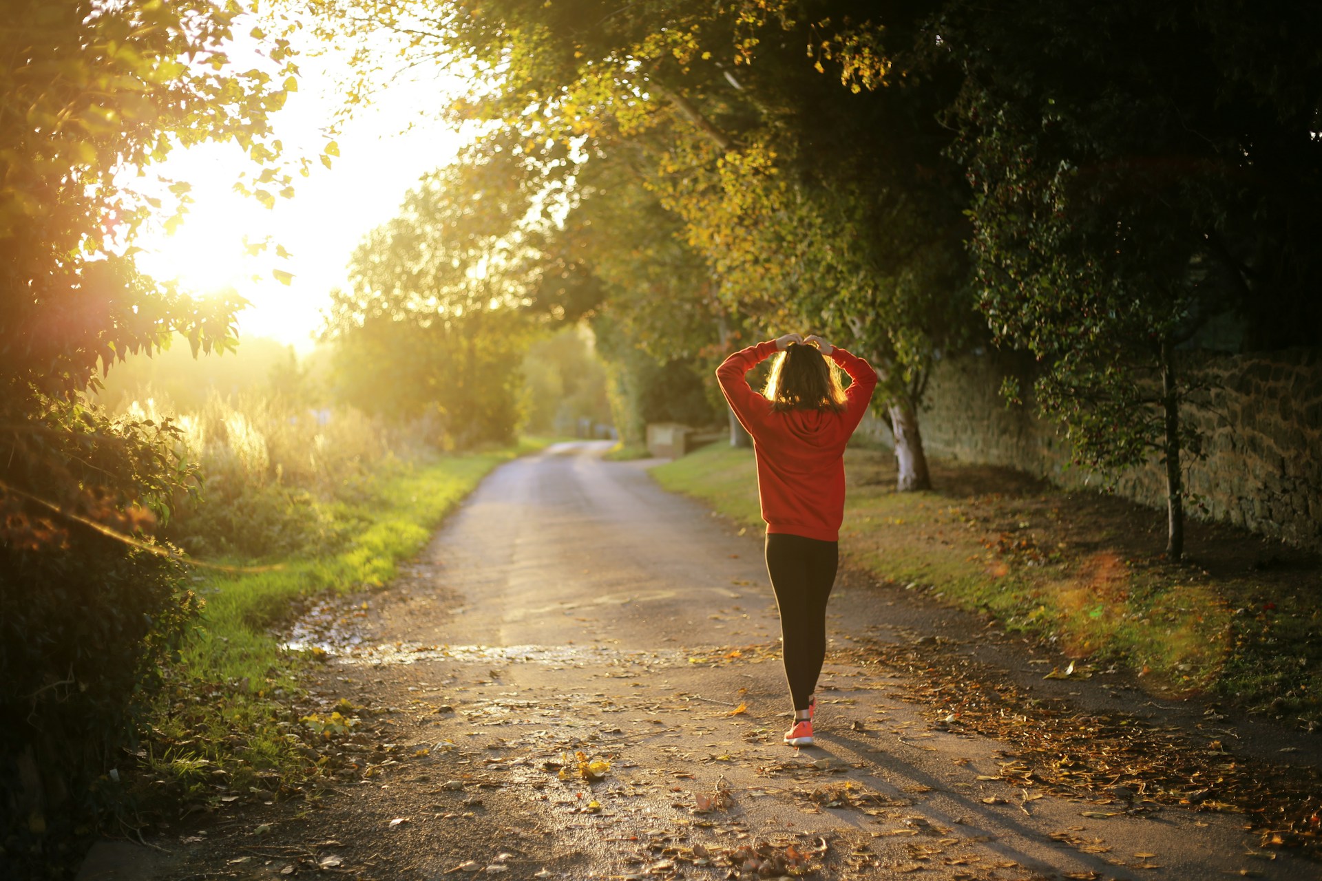 Person walking through a wooded lane on a sunny day by Emma Simpson from Unsplash